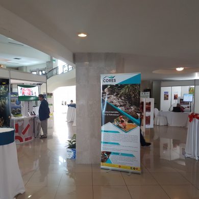 Participación de CORES en III Congreso Internacional de Minería y Geología